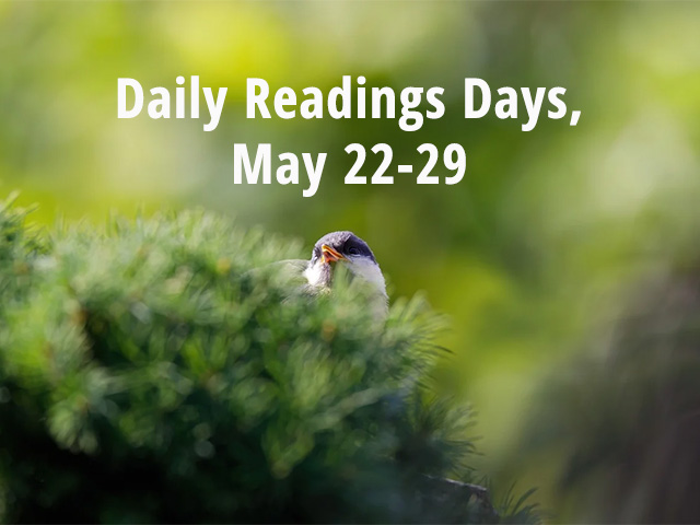 Daily Readings Days May 22-29, 2026