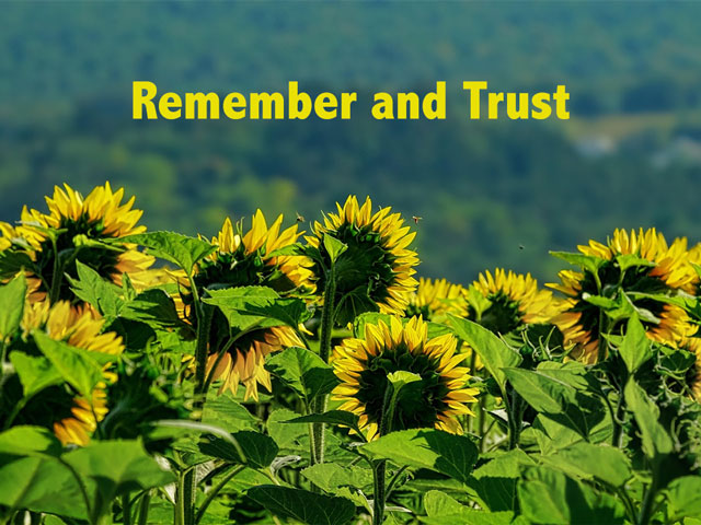 Remember and Trust